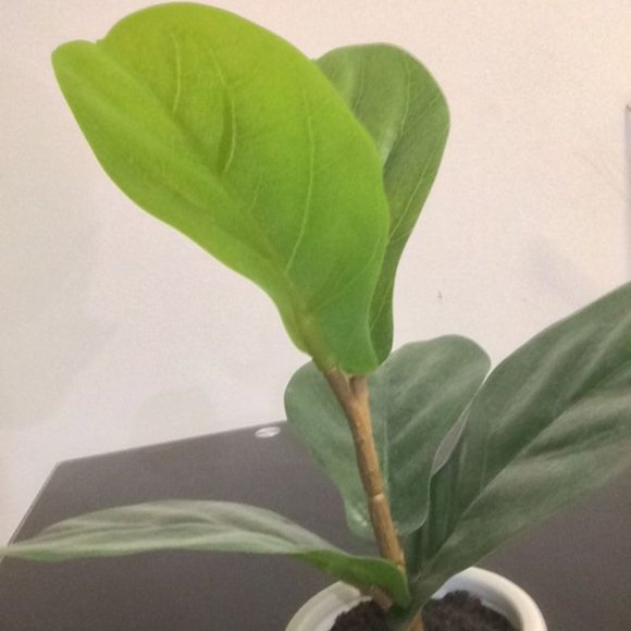 Threshold Artificial Plant Tabletop Arrangement - Picture 1 of 9